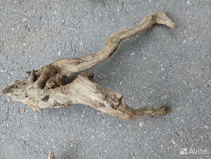 Коряги для аквариума/террариума