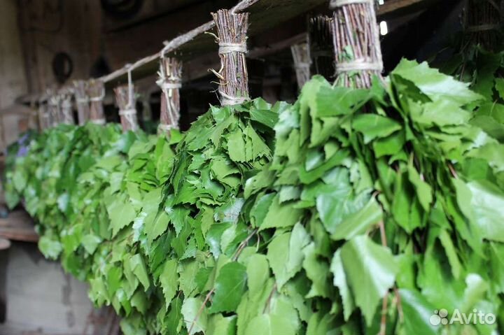 Веники берёзовые и дубовый. Веники для бани