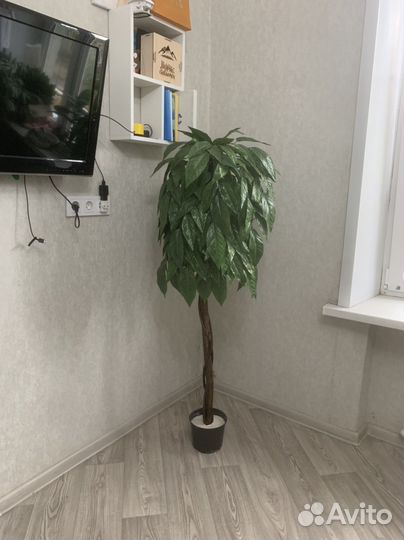 Искусственное дерево Манго