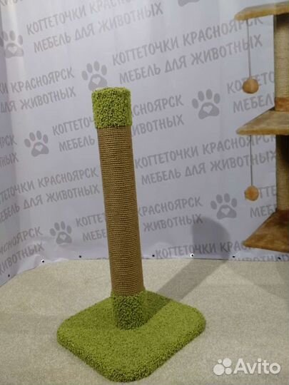 Когтеточка