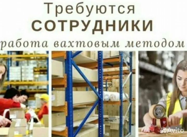 Предприятию требуются дояры. Вахта