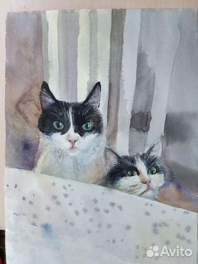 Акварель Покормите котика