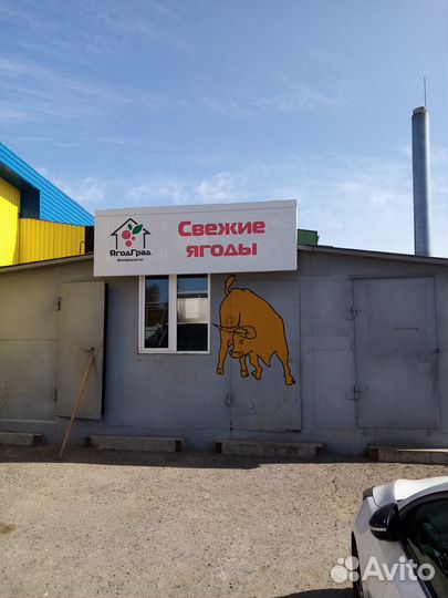 Холодильная камера