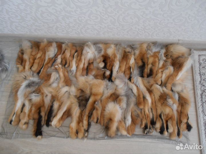 Мех рыжей лисы. Лапы