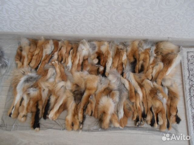 Мех рыжей лисы. Лапы