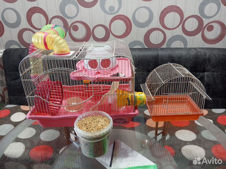 Клетка для хомяка бу