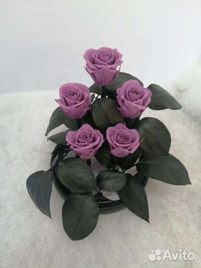 Роза в колбе оптом и в розницу