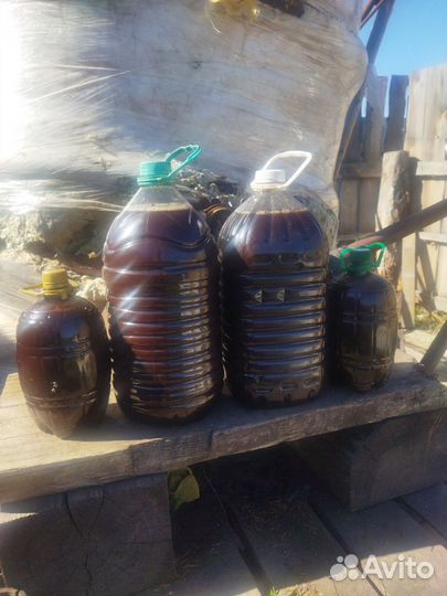 Пихтовый экстракт