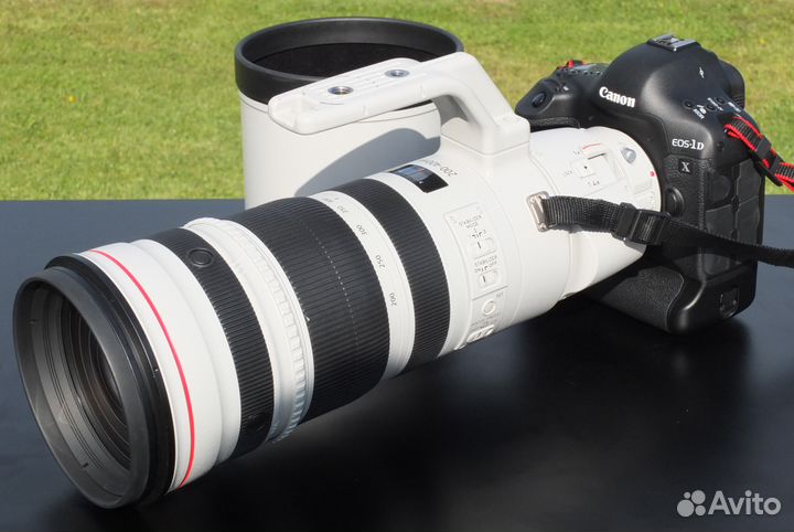 Canon EF 200-400mm f/4L IS USM Extender
