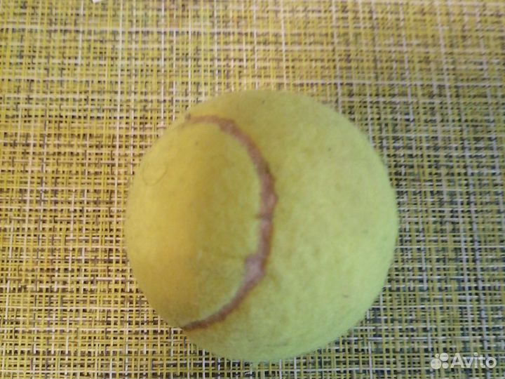 Мяч теннисный training