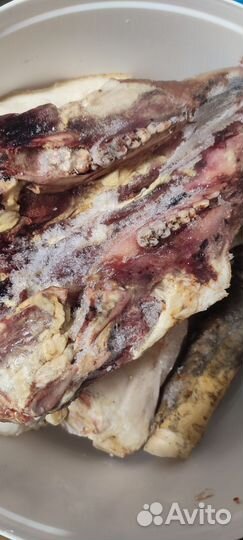 Мясо для собак и мясо вяленое для собак