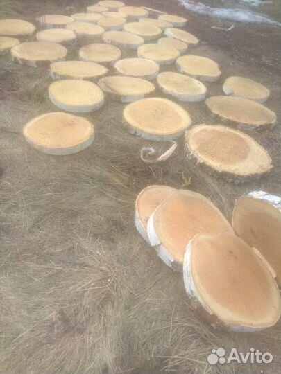 Березовые спилы для декора интерьера