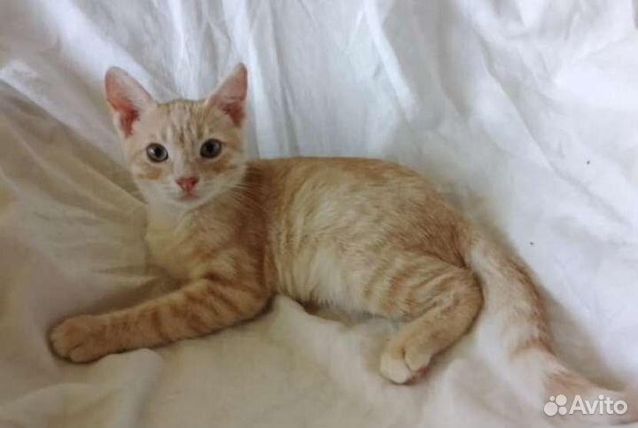 Мальчик 3 месяца в приюте