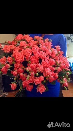 Цветы розы букет