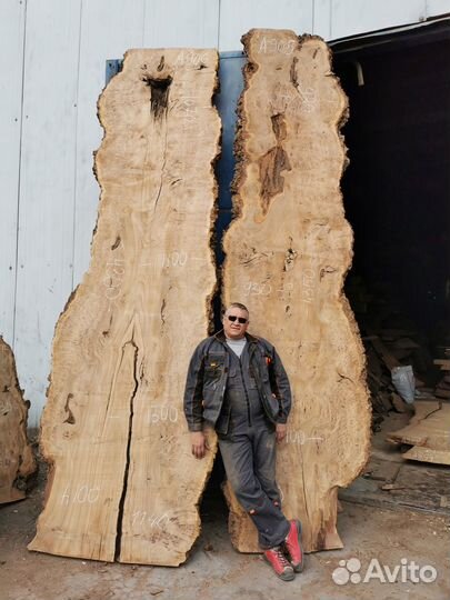 Слэбы из дерева, карагач, граб, бук