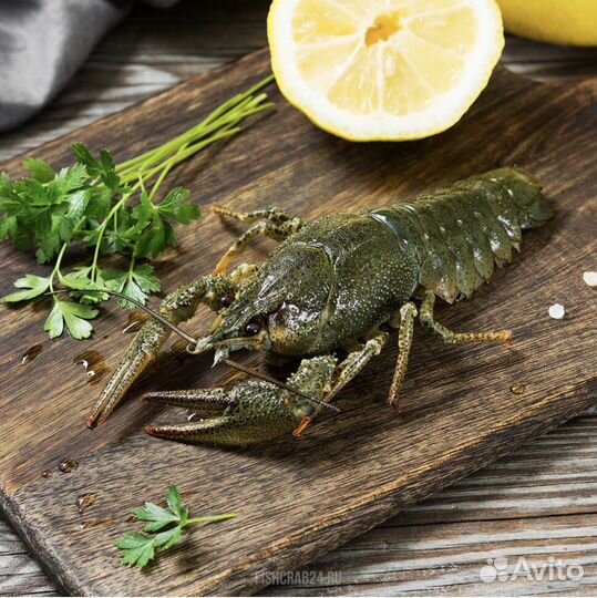 Живые и вареные раки