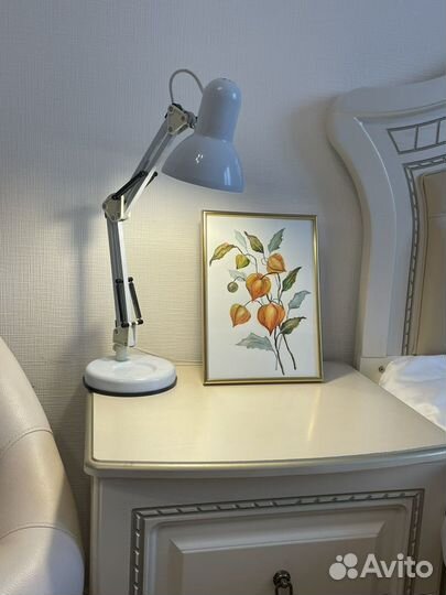 Картина акварель цветы Физалис в фото рамке