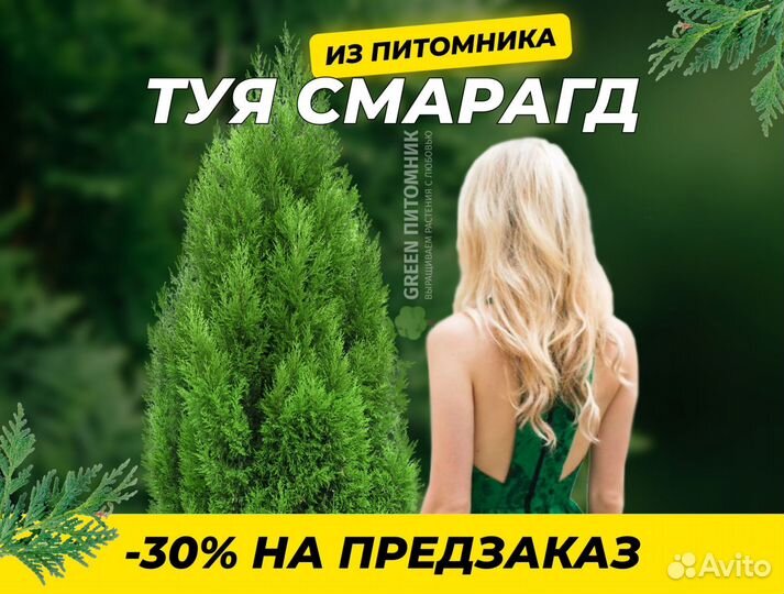 Туя в ассортименте:Смарагд,Брабант,Колумна