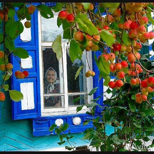 Мистери бокс. Посылка от бабушки с любовью