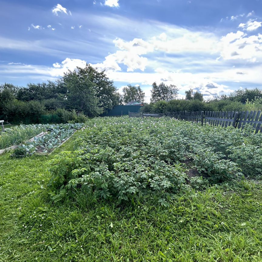 Квартира 2-комн. 43.7 м² в Молочное — фото 15 из 17