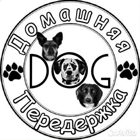 Передержка собак