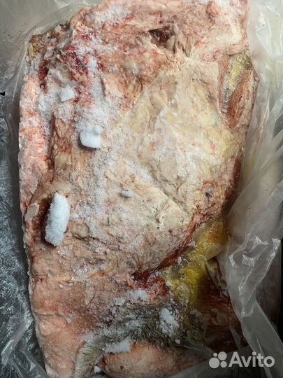 Мясо для собак