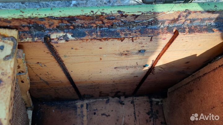 Продаю ульи