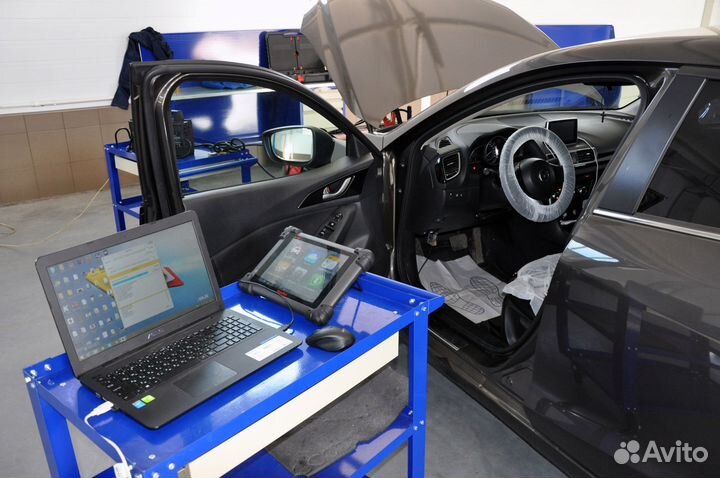 Чип тюнинг, прошивка евро 2, adblue, DPF EGR off