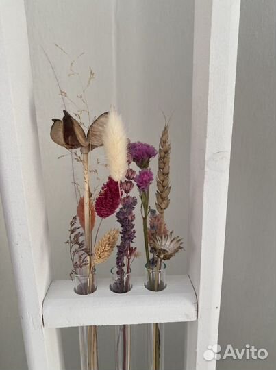 Цветы сухоцветы в колбе, композиции из сухоцветов