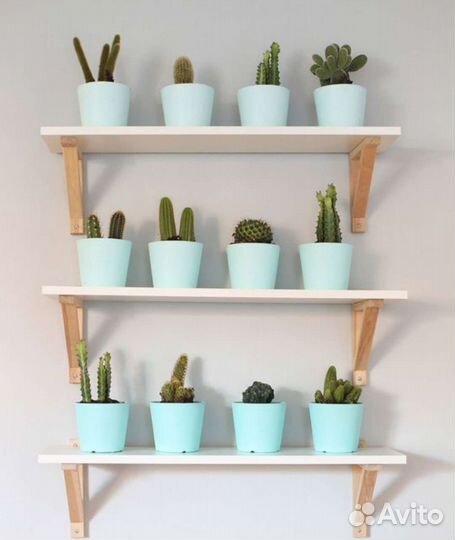 Настенная полка/Дизайнерская полка