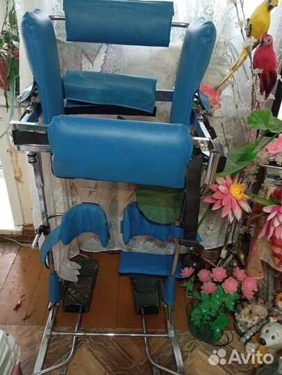 Папаподиум