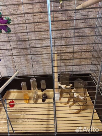 Клетка для попугая