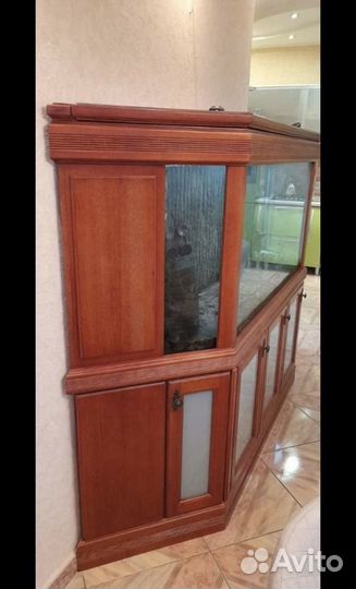 Аквариумные рыбки