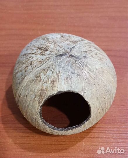 Домик из кокоса