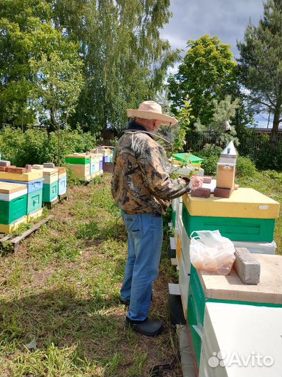 Пчелопакеты Бакфаст