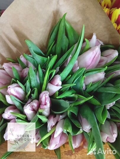 Цветы тюльпаны букет