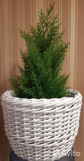 Кашпо из полиротанга