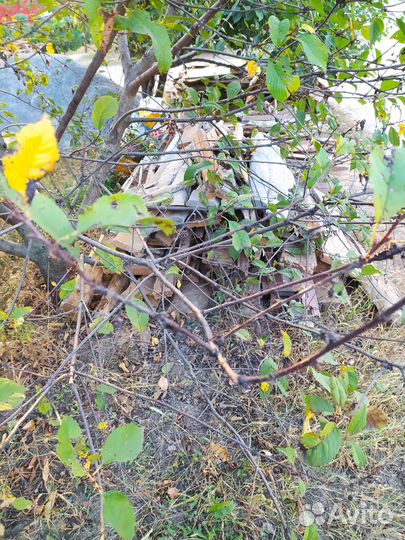 Отдам дрова самовывоз