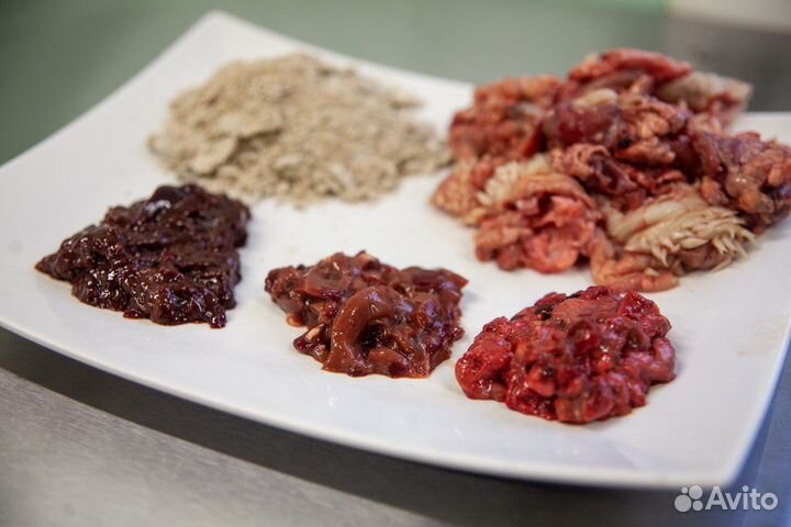 Натуральный корм для собак