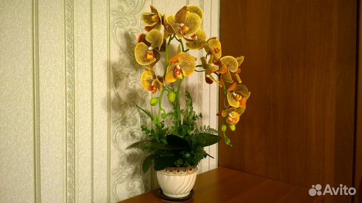 Орхидея