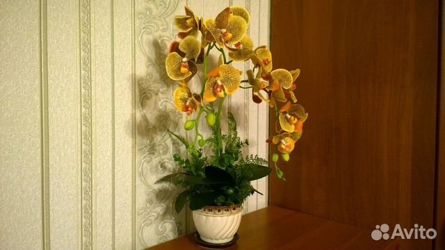 Орхидея