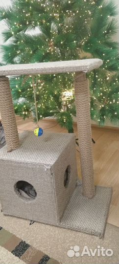 Когтеточка