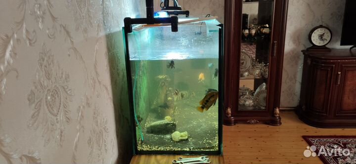 Аквариум