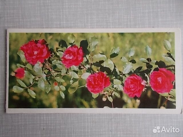 Открытки поздравительные СССР 70-е