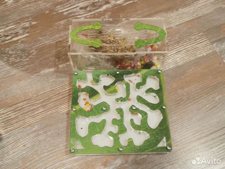 Муравьиная ферма