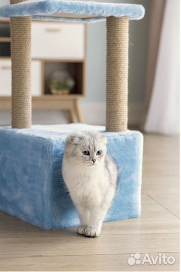 Когтеточка с домиком