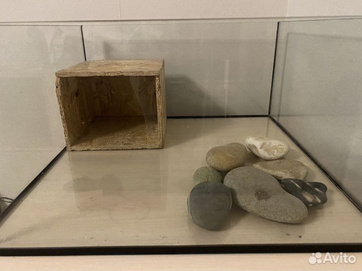 Аквариум Террариум 50х50х25