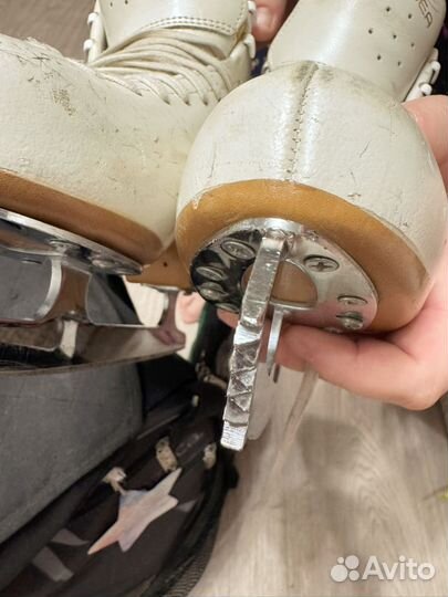 Фигурные коньки edea chorus 230