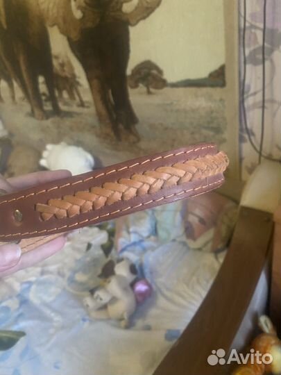 Ошейник для собпк средниж пород