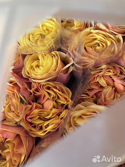 Продажа роз оптом